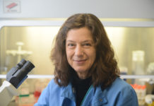 Researchers modify common flu virus to attack pancreatic cancer