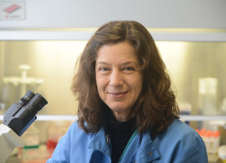 Researchers modify common flu virus to attack pancreatic cancer