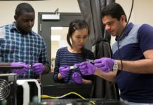 Self-healing fungi concrete could provide sustainable solution to crumbling infrastructure