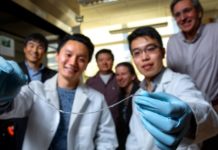 Spider’s web inspires removable implant that may control type 1 diabetes