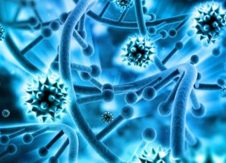 Strategy introduces stable components of flu virus for long-lasting, DNA-enhanced protection