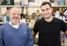 Study may point to new ways to reverse insulin resistance