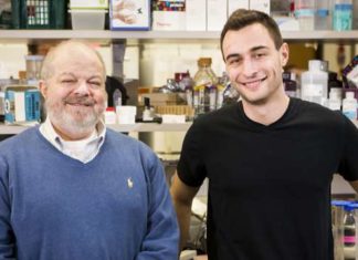Study may point to new ways to reverse insulin resistance