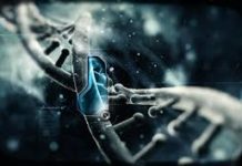 Study proves ‘muscle memory’ exists at a DNA level