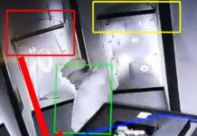 Qualcosa di strano nelle immagini del furto dei gioielli a Palazzo Ducale di Venezia