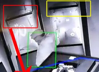 Qualcosa di strano nelle immagini del furto dei gioielli a Palazzo Ducale di Venezia