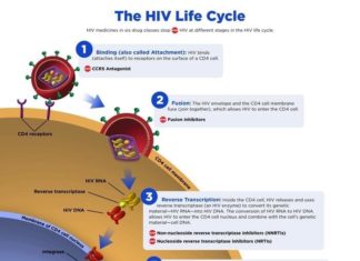 New long-acting, less-toxic HIV drug suppresses virus in humanized mice