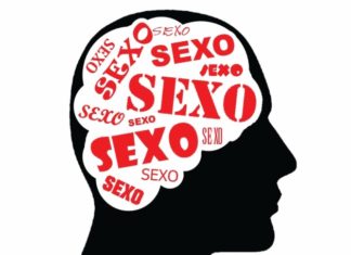 How the Brain Controls Sex
