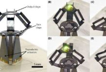 Millimeter-scale robot opens new avenues for microsurgery