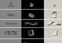 Physicists build muscle for shape-changing, cell-sized robots