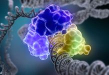 Add broken DNA repair to the list of inherited colorectal cancer risk factors