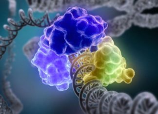 Add broken DNA repair to the list of inherited colorectal cancer risk factors