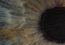 Artificial intelligence quickly and accurately diagnoses eye diseases and pneumonia