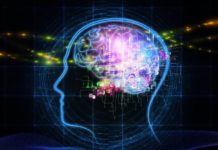 BACK AND FORTH EXCHANGES BOOST CHILDREN’S BRAIN RESPONSE TO LANGUAGE