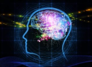 BACK AND FORTH EXCHANGES BOOST CHILDREN’S BRAIN RESPONSE TO LANGUAGE