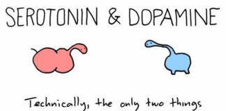 Body movements just need a puff of dopamine to get started