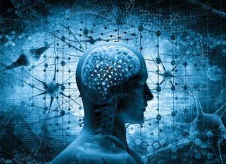Brain Aging May Begin Earlier Than Expected