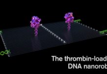 Cancer-fighting nanorobots programmed to seek and destroy tumors