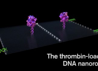Cancer-fighting nanorobots programmed to seek and destroy tumors