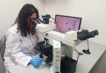 Israeli team says new test takes uncertainty out of prostate cancer screening