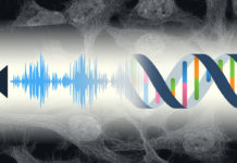 Cells rockin in their DNA: Team finds genes suppressed by sound stimulation