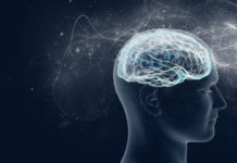 Engineer locates brain’s seizure onset zone in record time