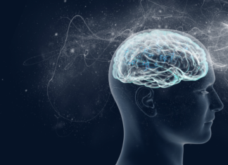 Engineer locates brain’s seizure onset zone in record time
