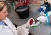 Forecasting antibiotic resistance with a weather map of local data