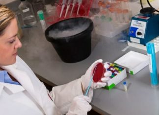 Forecasting antibiotic resistance with a weather map of local data