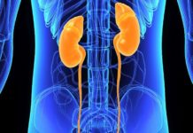 Growth rates of small renal masses highly variable early on
