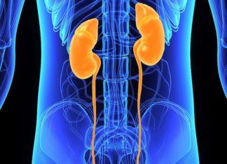 Growth rates of small renal masses highly variable early on