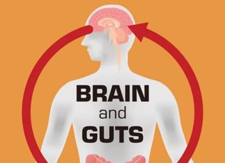 Gut-Brain Communication Demonstrates How Organs Can Work to Regulate Lifespan