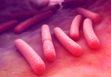 Gut microbes protect against sepsis