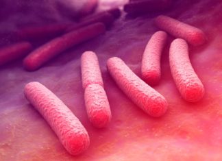 Gut microbes protect against sepsis