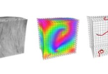 Heart researchers develop a new, promising imaging technique for cardiac arrhythmias