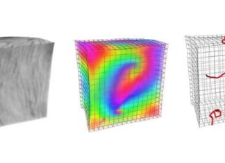 Heart researchers develop a new, promising imaging technique for cardiac arrhythmias