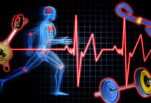 How exercise training promotes a sound mind in a sound body