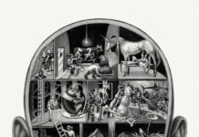 How the Brain Constructs the World