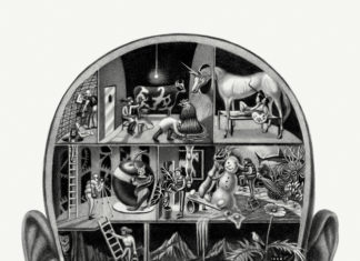 How the Brain Constructs the World