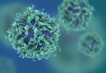 How viruses disarm the immune system