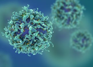 How viruses disarm the immune system