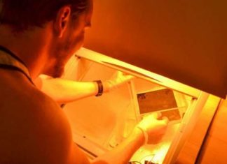 Student research team accelerates snow melt with ‘Melt Mat’