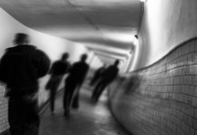 Link Between Hallucinations and Dopamine Not Such a Mystery