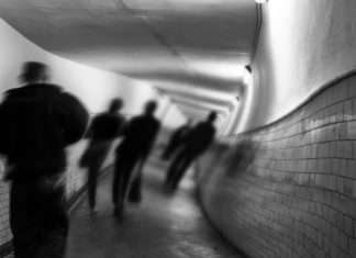 Link Between Hallucinations and Dopamine Not Such a Mystery