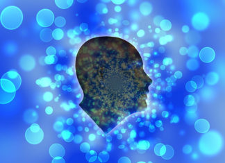 New Insights On the Neurobiology of Dying