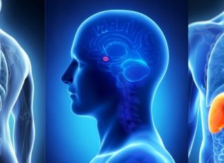 New algorithm decodes spine oncology treatment