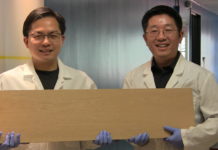 New process could make wood as strong as titanium alloys but lighter and cheaper