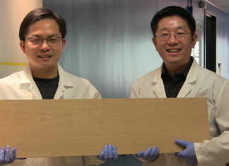 New process could make wood as strong as titanium alloys but lighter and cheaper