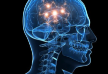 Novel Mechanism Behind Schizophrenia Uncovered
