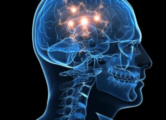 Novel Mechanism Behind Schizophrenia Uncovered